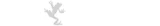 screaming frog broken links